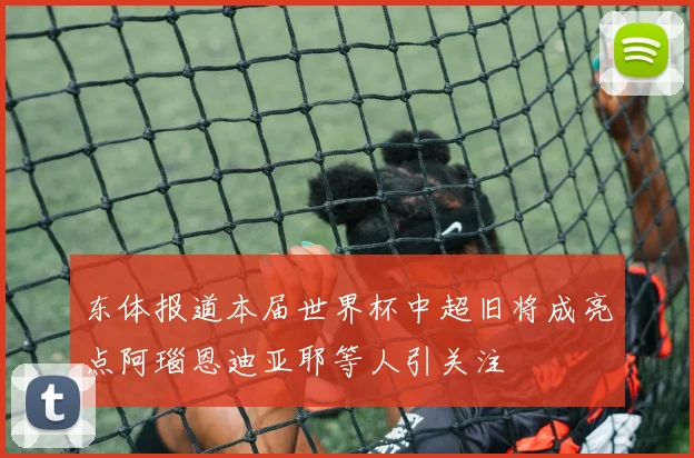 东体报道本届世界杯中超旧将成亮点阿瑙恩迪亚耶等人引关注
