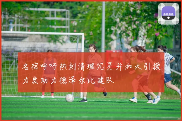 名宿呼吁热刺清理冗员并加大引援力度助力德泽尔比建队